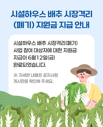 시설하우스 배추 시장격리 지원금 지급 안내
